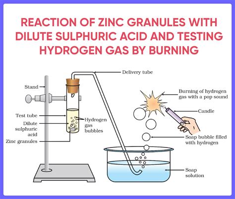 Reactions of Acids and Bases - Full list (with Examples) - Teachoo