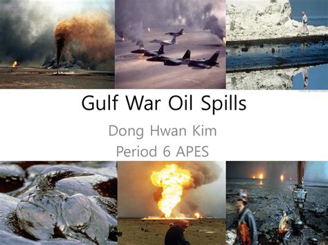 Gulf War Oil Spills - Bioenviroclasswiki