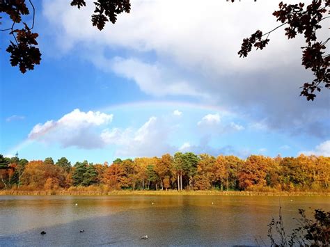 Wildlife Walks at Stover Country Park Nature Reserve, Newton Abbot by ...