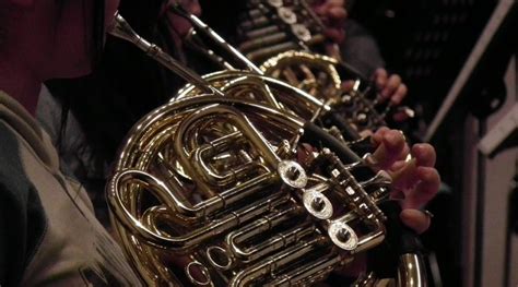 10 Best French Horn Players of All Time - Record Head