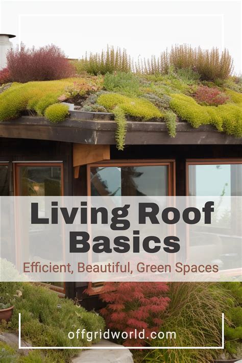 Living roof basics efficient beautiful green spaces – Artofit