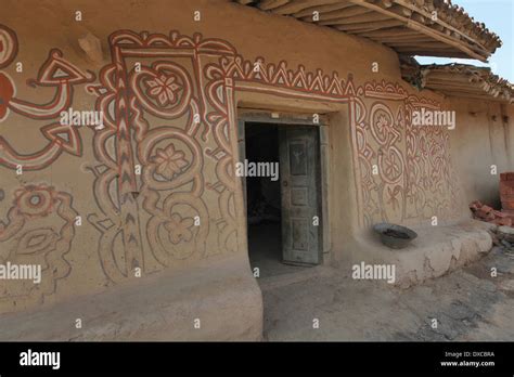 Sohrai paintings on mud walls painted by Kurmi caste artists. Bhilwara ...