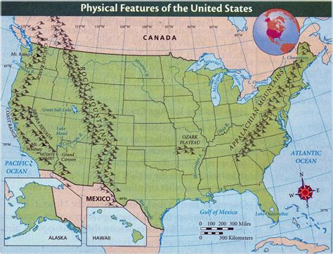 physical characteristics of a typical american