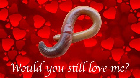 Would You Still Love Me If I Was A Worm? | Know Your Meme