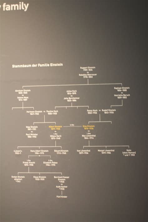 Albert Einstein Family Tree (It's a circle!!) | mikebeuselinck | Flickr