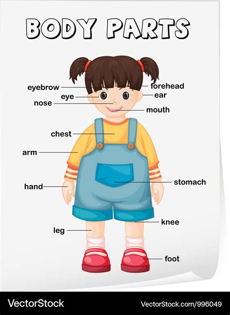 Body Parts Diagram : The human body | Science lessons for grade 1 : The ...