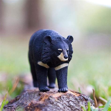 Moon Bear Toy | Wildlife Animal Toys | Safari Ltd®