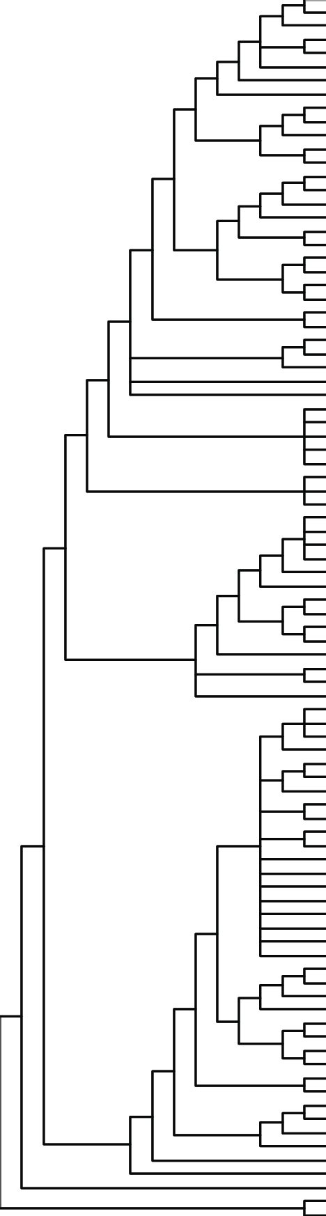 Revised classification of Symplocaceae based on the combined molecular ...