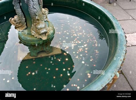 Coins inside wishing well in Scotland Stock Photo - Alamy