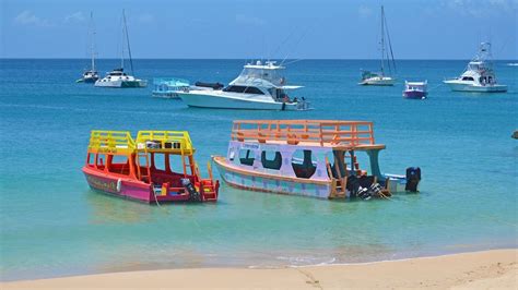 Tobago Buccoo Reef Glass Bottom Boat Tour