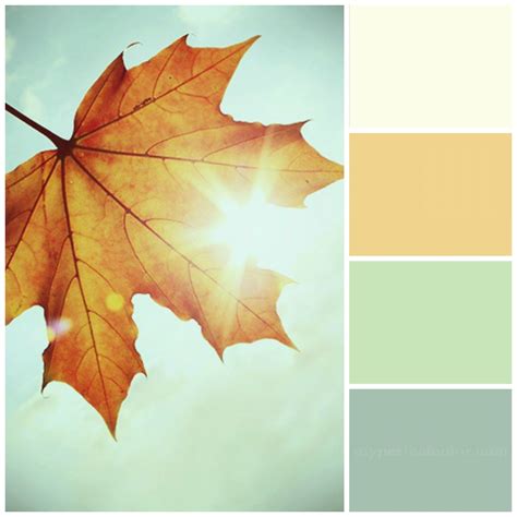 Enchanting Fall Color Palettes That Are Full Of Ideas (Photographs ...