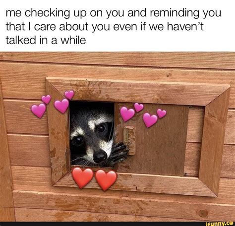 Wholesome meme - me checking up on you and reminding you that I care ...