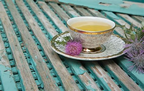 How To Make Milk Thistle Tea? | Coffee Tea Club