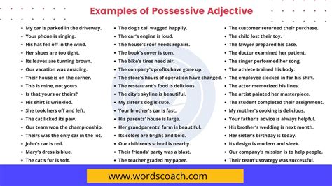 100+ Examples of Possessive Adjective - Word Coach