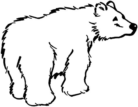 Black Bear Outline - ClipArt Best