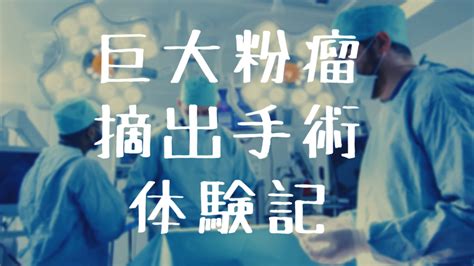 【激痛×後悔】8cm巨大粉瘤の摘出手術体験記。こうなる前に病院に行こう - いぬたぬノート