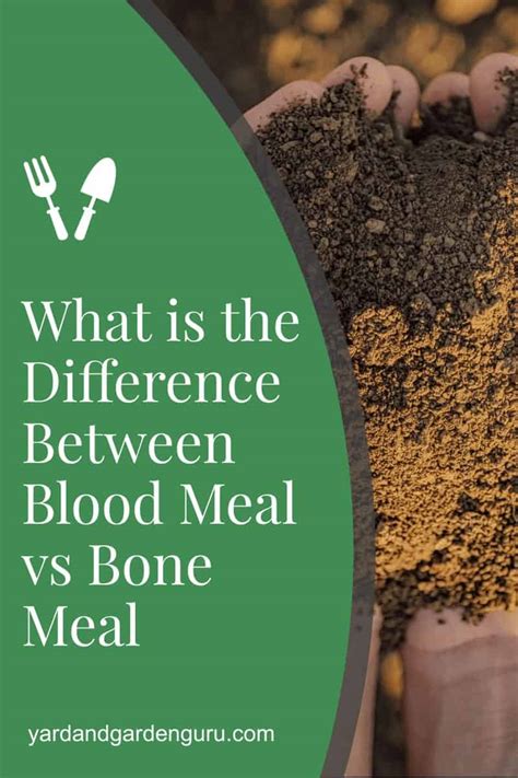 What is the Difference Between Blood Meal vs Bone Meal