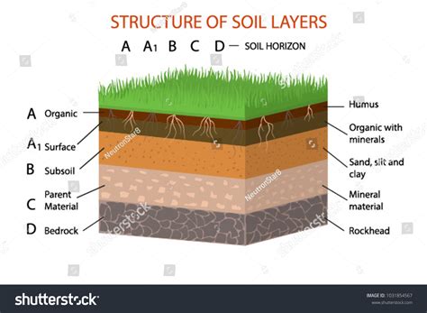 Structure des couches de sol illustration : image vectorielle de stock ...