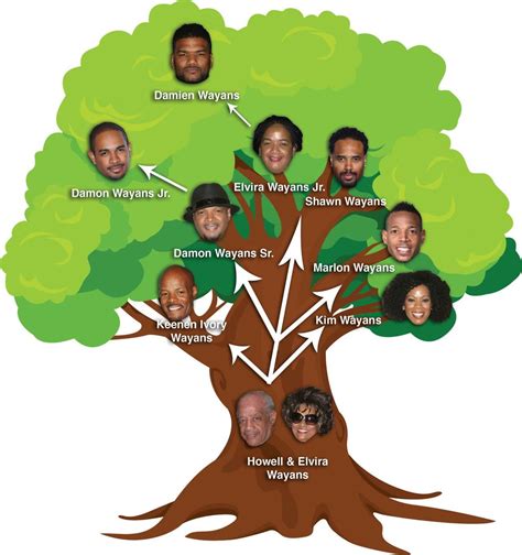 Family Tree - Fotolip