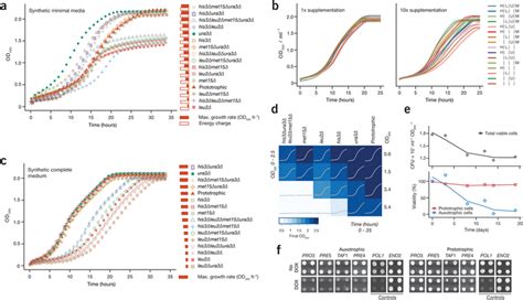 The combinatorial impact of yeast auxotrophic markers on yeast ...