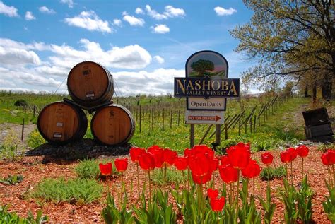 Nashoba Valley Winery - Top Bolton, MA Wedding Venue