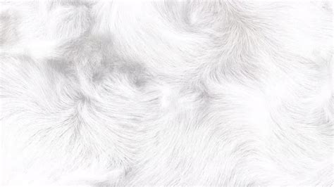 White Fluffy Fur Background 4K, Motion Graphics | VideoHive