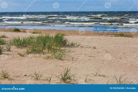 Sand Dunes on the Beach at Sunset Stock Photo - Image of latvia ...