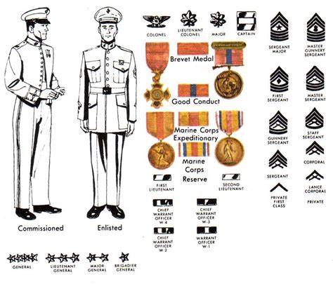 Pin by Patricia Squicciarini on Semper Fi | Marine corps uniforms, Us ...