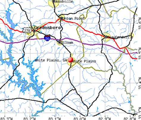 Plains Georgia Map