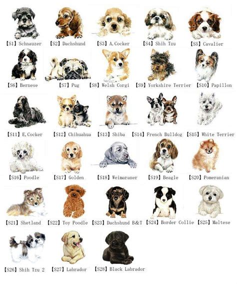 Dog breed names, Dog breeds chart, Small dog breeds