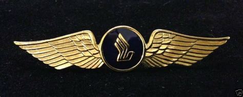 Singapore Airlines Pilot Wings Badge | Singapore airlines, Badge, Pilot