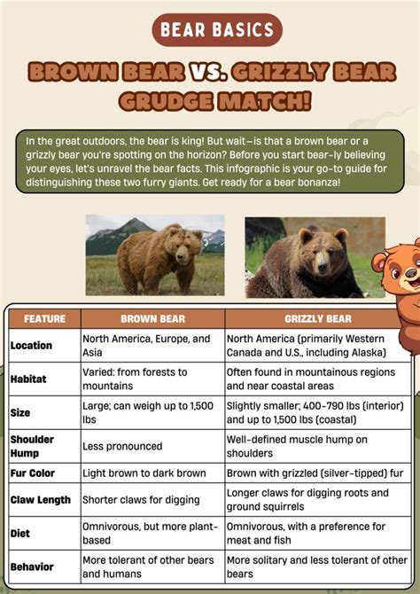 Brown Bear vs. Grizzly Bear: Differences between these Bears • 7ESL