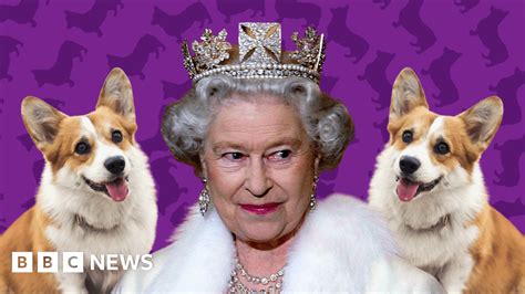 Corgis: How the Queen fell in love and started a phenomenon