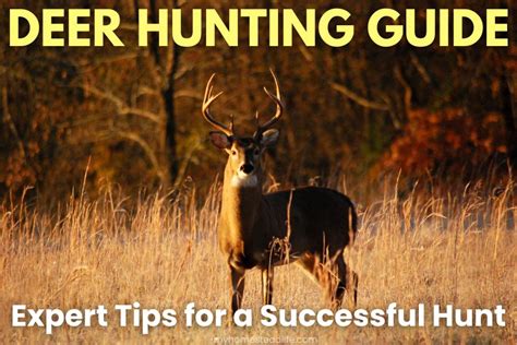 Deer Hunting Guide: Expert Tips for a Successful Hunt - My Homestead Life