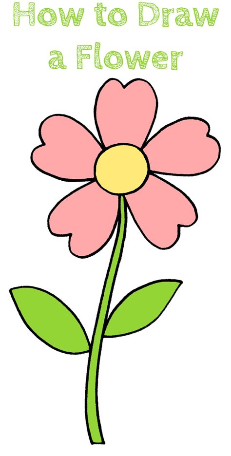 How to Draw a Flower - How to Draw Easy