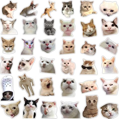 Buy 36 Funny Cat Stickers Pack, Hilarious Cat Meme Decals Set ...