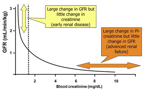 IRIS Kidney - Education - Creatinine in Dogs