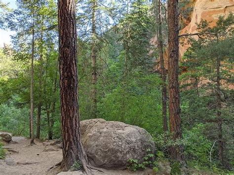 Best Oak Creek Canyon hiking trail? West Fork Trail Details