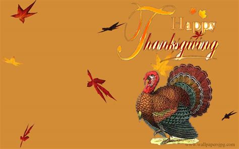 Turkey Thanksgiving Wallpapers - Wallpaper Cave