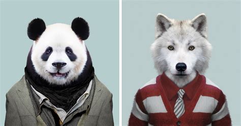 This Artist Spent 3 Years ‘Dressing’ Zoo Animals Like Humans And The ...