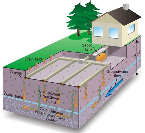 what is septic design - Lauri Taggart