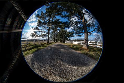 【人気ダウンロード！】 fish eye 282616-Fisheye lens