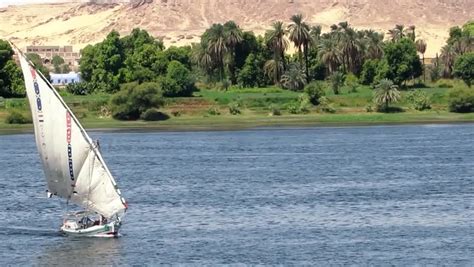 Felucca On The Nile River Stock Footage Video 7407943 - Shutterstock