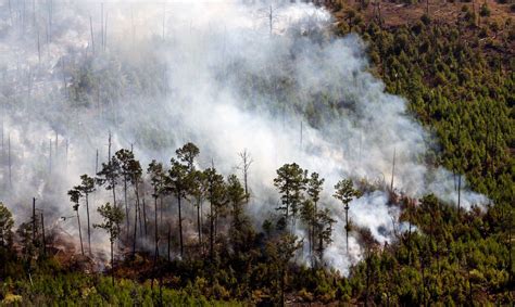 Deadly and destructive: The 10 worst Texas wildfires in state history