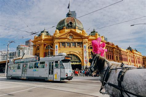 Modern Adventure: Foodie Travel (With images) | Australia tourism ...