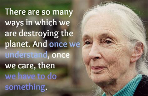 These Jane Goodall Quotes Will Inspire You to Save the World - EcoWatch