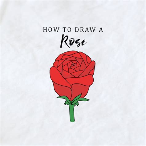 Ionela Flood: [View 26+] Sketch Rose Flower Drawing Easy Step By Step