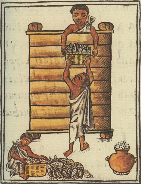 File:Aztecs storing maize.jpg - Wikimedia Commons