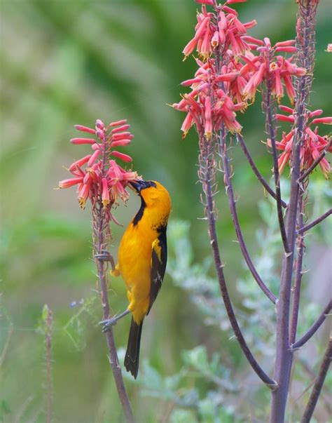 Ten Years Ago this Week—Grandma Trudy’s Rio Grande Oasis | The ...