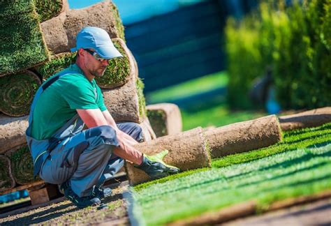 Premium Photo | New turf grass installation